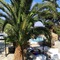 Naxos Summerland Resort - map