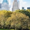 JW Marriott Essex House New York - map