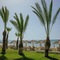 Golden Bay Beach Hotel - map