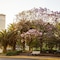 Park Tower, A Luxury Collection Hotel - map