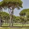 Rio Real Golf & Hotel - map