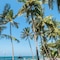 Serena Beach Resort & Spa - map