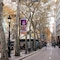 Royal Ramblas - map