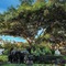 Wailea Beach Resort - Marriott, Maui - map