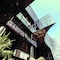 Garden Beach Hotel - map