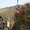 Hostal Vall D'aneu - map