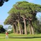 Pullman Cannes Mandelieu - map