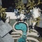 Royal Palm Beachcomber Luxury - map