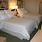 Holiday Inn Brownsville - map
