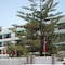 Apartamentos Fayna - map