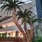 Saphir Resort & Spa - map