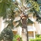Holiday Inn Resort Grand Cayman By Ihg - map