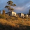 Swansea Beach Chalets - map
