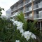Radisson Hotel Paramaribo - map