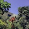 Villas De Rosa Beach Resort - map