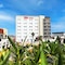 Ibis Chihuahua - map