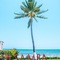 Samba Vallarta - All Inclusive - map