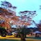 Muthu Lake Naivasha Country Club - map
