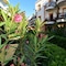 Tropicana Beach Hotel - map