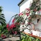 Hotel Marinella - map
