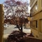 Ramada By Wyndham Downtown Spokane - map