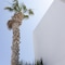 Cavo Bianco Boutique Hotel & Spa - map