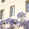 Best Western Premier Hotel Des Vignes Et Des Anges - map
