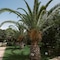 Flow Datca Surf & Beach Hotel - map