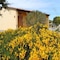 Rocce Bianche - map