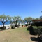Nettuno Resort - map
