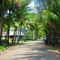 The Sebel Palm Cove - map