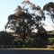 Mount Gambier International Motel - map