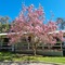 Golden Heritage Apartments Beechworth - map