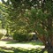 Peppermint Brook Cottages - map