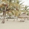 The Placencia, A Muy’Ono Resort - map
