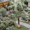 Garden Boutique Hotel Berlin - Mitte - map