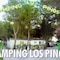 Camping Los Pinos - map