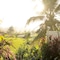 Ubud Padi Villas - map
