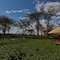 Kiboko Luxury Camp - map