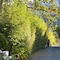 The Haven And Spa - Health And Wellness Accommodation - Adults Only - map