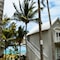 Astroea Beach Hotel - map