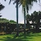 Mount Sea Resort - map