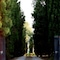 Collina Toscana Resort - map