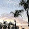 Sky Palm Motel - map