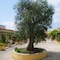 Racar Hotel & Resort - map