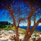 Little Lindos Sea View Studios - map