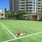 Crest Apartments - map