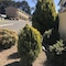 Hideaway Motor Inn Armidale - map