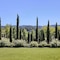 Rosewood Sand Hill - map