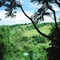 The Falls Rainforest Cottages - map